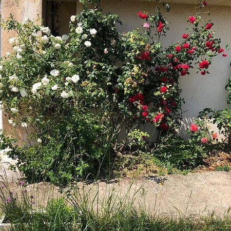 Ferienwohnung Le Jardin Suspendu Rillieux-la-Pape Exterior foto