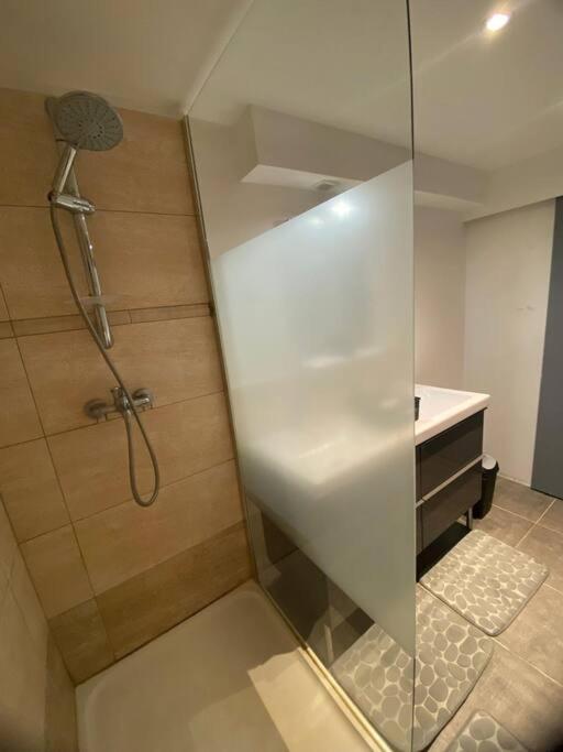 Ferienwohnung Le Jardin Suspendu Rillieux-la-Pape Exterior foto