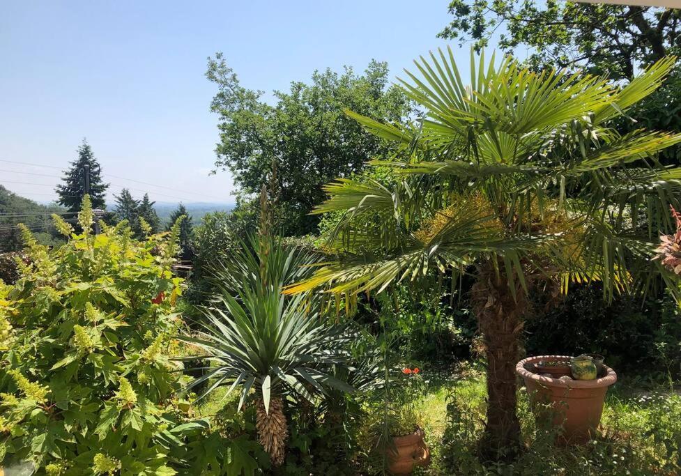 Ferienwohnung Le Jardin Suspendu Rillieux-la-Pape Exterior foto